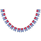 キューバ国旗とパーティーキューバのバナー/結婚式 バンティングフラッグ (全)