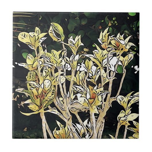 キューバ植物 タイル (正面)