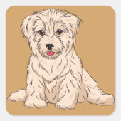 キューバ生まれのハバニーズの子犬のデザイン スクエアシール (正面)
