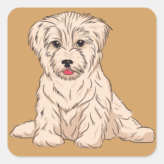 キューバ生まれのハバニーズの子犬のデザイン スクエアシール (正面)