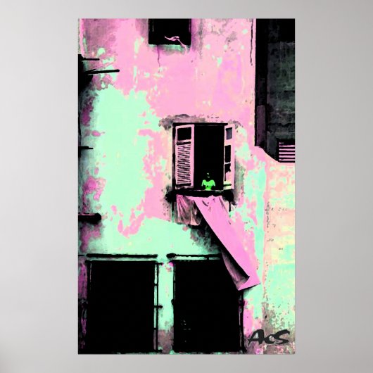 キューバ産ランドリー ポスター (正面)