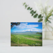 キューバ – トリニダード・ド・キューバ ポストカード (スタンド正面)