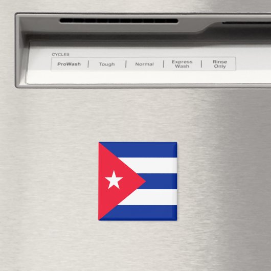 キューバ マグネット (インサイチュ (食洗機))