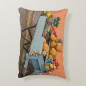 キューバ,果物と野菜の荷車 アクセントクッション (裏面(縦))