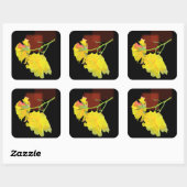 キュービストバラ スクエアシール (シート)