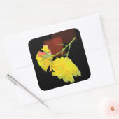 キュービストバラ スクエアシール (封筒)