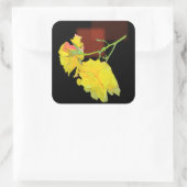 キュービストバラ スクエアシール (バッグ)