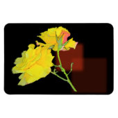 キュービストバラ マグネット (横)