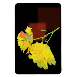 キュービストバラ マグネット