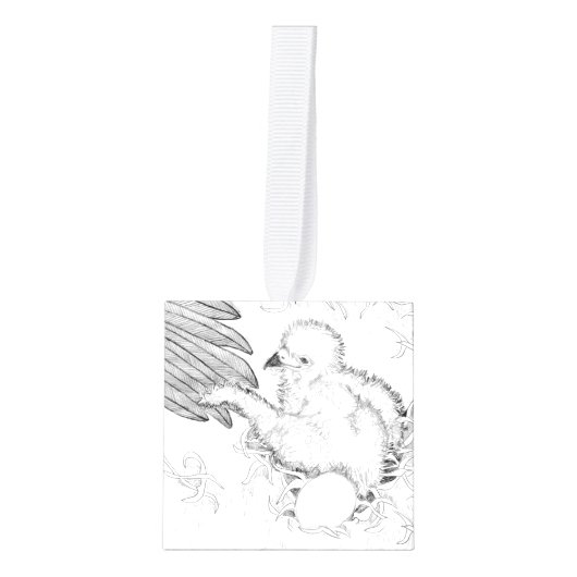 キューブオーナメントイーグルズハリエオジーM15イーズホーム キューブオーナメント (正面)