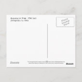 キュー4プライドPDX 2011 ポストカード (裏面)