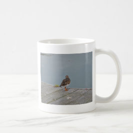 キョウジョシギ コーヒーマグカップ