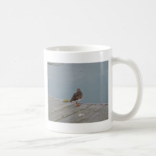 キョウジョシギ コーヒーマグカップ (右)
