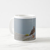 キョウジョシギ コーヒーマグカップ (正面左)