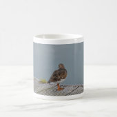 キョウジョシギ コーヒーマグカップ (中央)