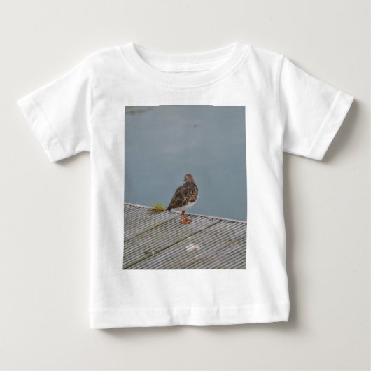 キョウジョシギ ベビーTシャツ (正面)