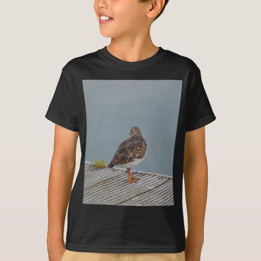 キョウジョシギ Tシャツ (正面)
