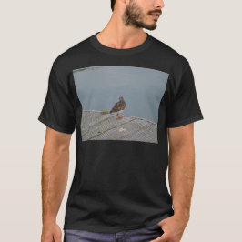 キョウジョシギ Tシャツ