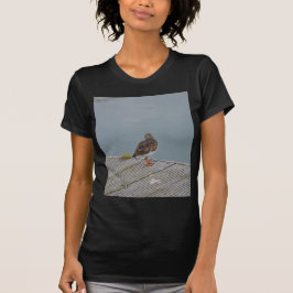 キョウジョシギ Tシャツ