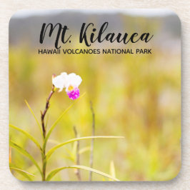 キラウエア山火山国立公園ハワイ コースター