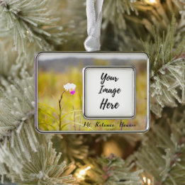 キラウエア山火山国立公園ハワイ シルバープレートフレームオーナメント