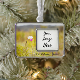 キラウエア山火山国立公園ハワイ シルバープレートフレームオーナメント