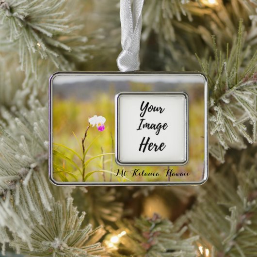 キラウエア山火山国立公園ハワイ シルバープレートフレームオーナメント (ツリー)