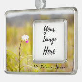 キラウエア山火山国立公園ハワイ シルバープレートフレームオーナメント (左)