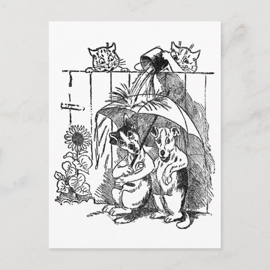 キラキラと光る猫ダースドッグスヴィンテージルイワーイン ポストカード (正面)