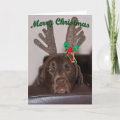 キラキラのツリー角をつけたクリスマスの犬 シーズンカード (正面)