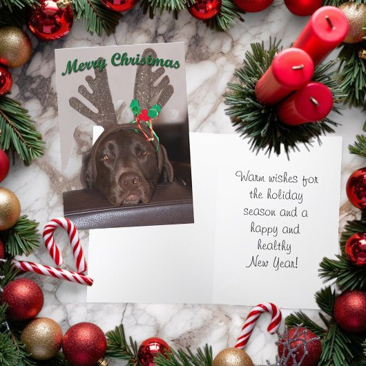 キラキラのツリー角をつけたクリスマスの犬 シーズンカード