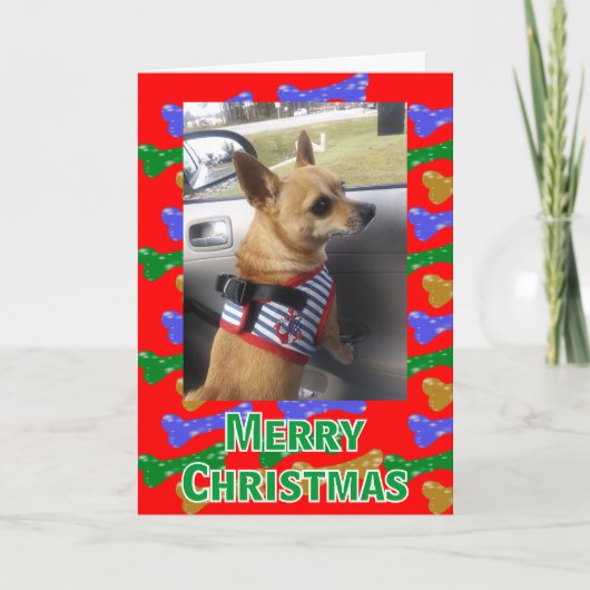 キラキラの犬の骨任意の写真クリスマスカード シーズンカード (正面)