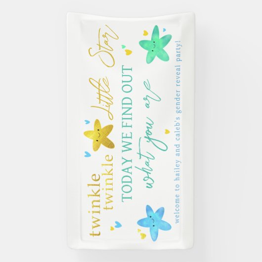 キラキラキラ小さな星のジェンダーがバナーを明らかにする 横断幕 (縦)