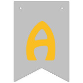 キラキラ星 |誕生日バナー バンティングフラッグ (第3の旗)