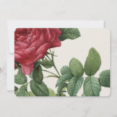 キラキラ輝く応援のフォトカード シーズンカード (裏面)