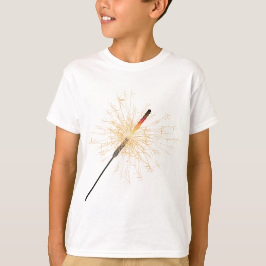 キラキラ輝く物 Tシャツ (正面)