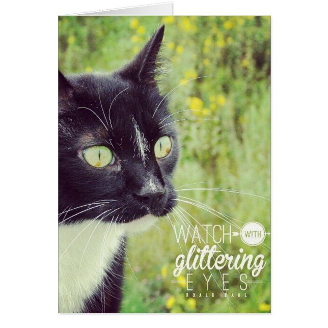 キラキラ輝く目の猫で見る (正面)