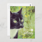 キラキラ輝く目の猫で見る ポストカード (正面/裏面)