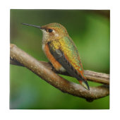 キラキラ輝く美しいハチドリつる植物 タイル (正面)