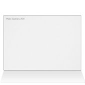 キラキラ輝く雨粒のピンクの牡丹の花CC0778 (内部横(上))