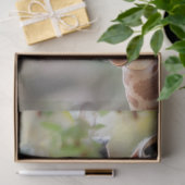 キラフェダディーママママベビーデクページ 薄葉紙 (ギフト)