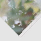 キラフェダディーママママベビーデクページ 薄葉紙 (詳細)