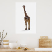 キラフェポスタープリント ポスター (キッチン)