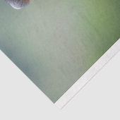 キラフェマザーベビー放牧デクページ 薄葉紙 (詳細)