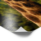 キラフクローズアッププリント フォトプリント            (角)