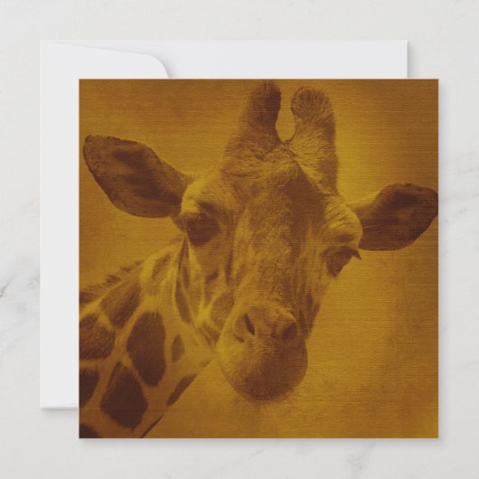 キラフサファリ誕生日パーティー 招待状 (裏面)