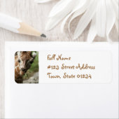 キラフスナック差出人住所ラベル ラベル (インサイチュ)