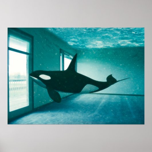 キラーアパートメント ポスター (正面)