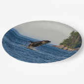 キラークジラが水から飛び出す海 ペーパープレート (アングル)