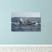 キラークジラ キャンバスプリント (インサイチュ (ウッドフロア))